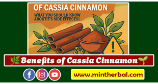 Benefits of Cassia Cinnamon